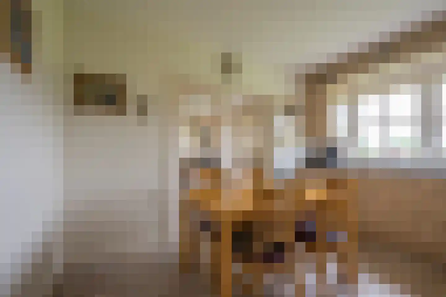 Goorsteeg 2 Ede thumbnail 9