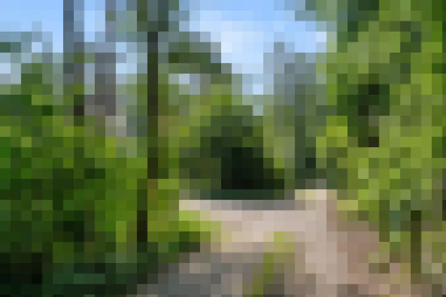 Goorsteeg 90 Ede thumbnail 10