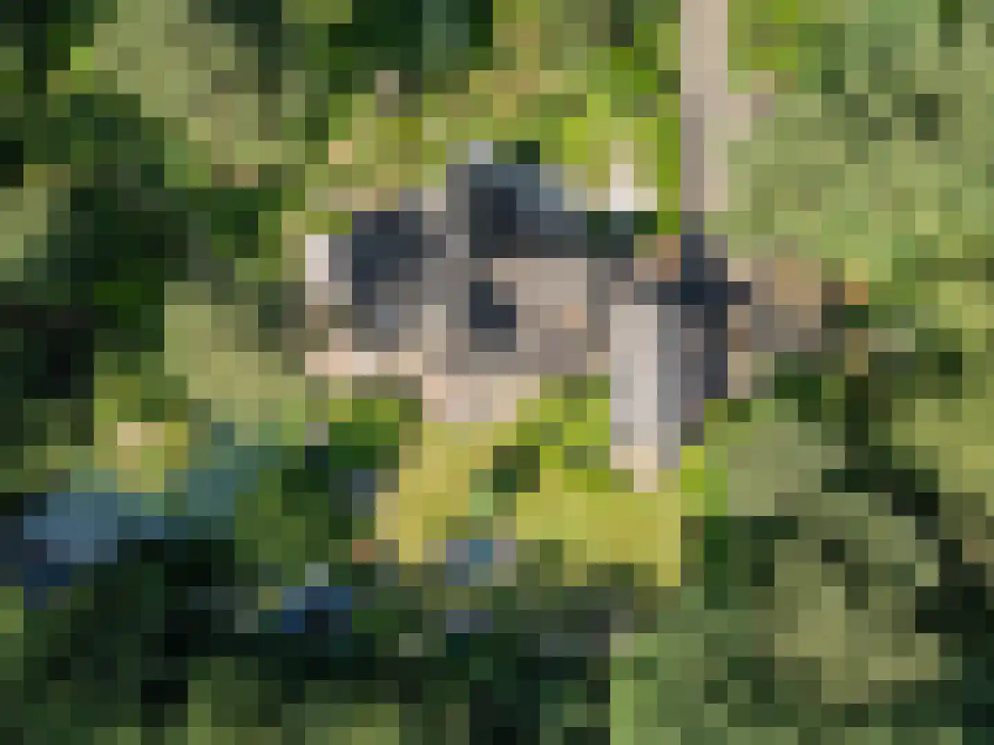 Goorsteeg 90 Ede thumbnail 100