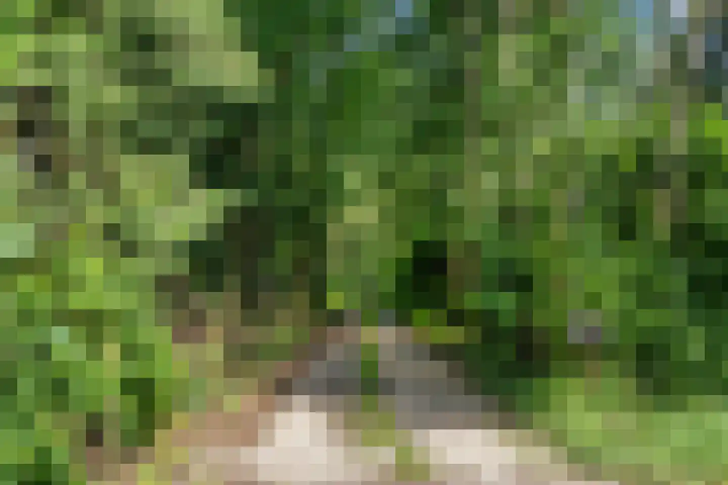 Goorsteeg 90 Ede thumbnail 104
