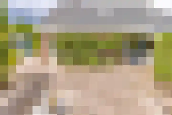 Goorsteeg 90 Ede thumbnail 22