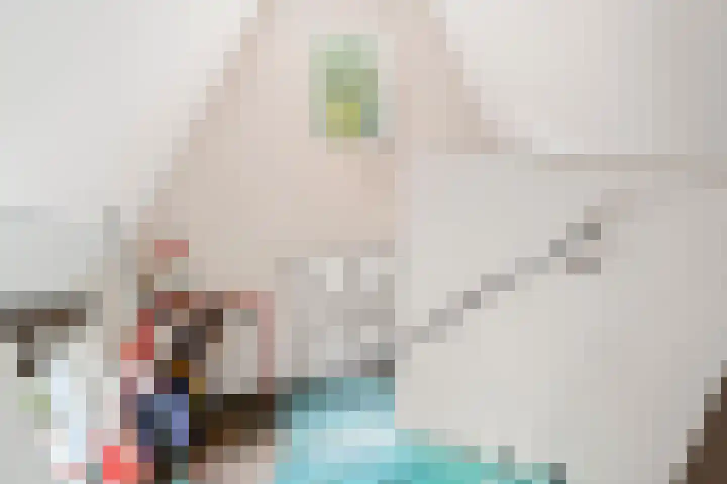 Goorsteeg 90 Ede thumbnail 30