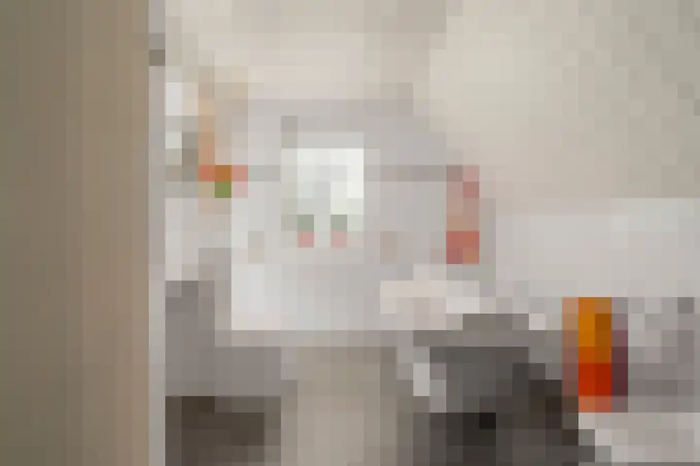 Goorsteeg 90 Ede thumbnail 36