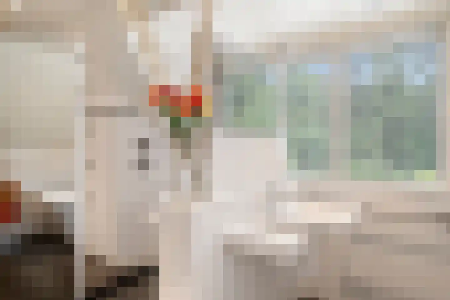 Goorsteeg 90 Ede thumbnail 38