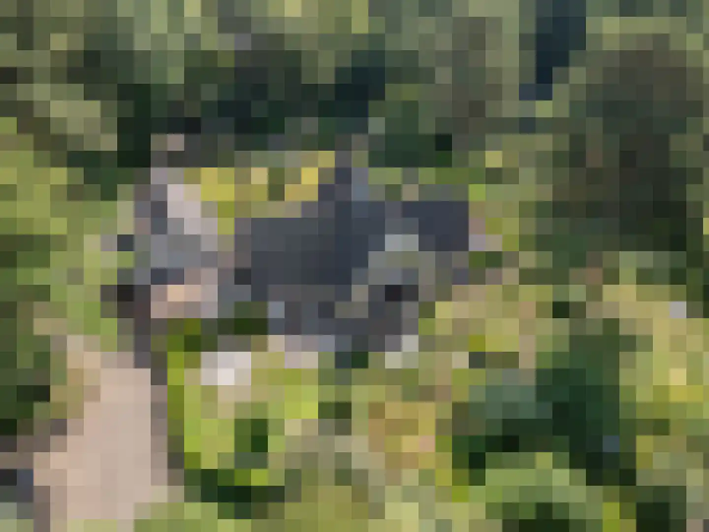 Goorsteeg 90 Ede thumbnail 4