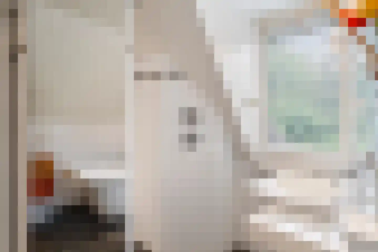 Goorsteeg 90 Ede thumbnail 40