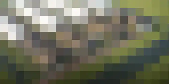 Goorsteeg 90 Ede thumbnail 41