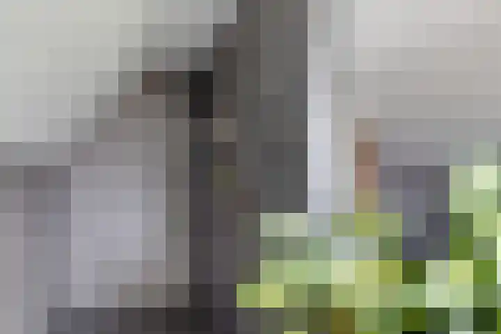 Goorsteeg 90 Ede thumbnail 58