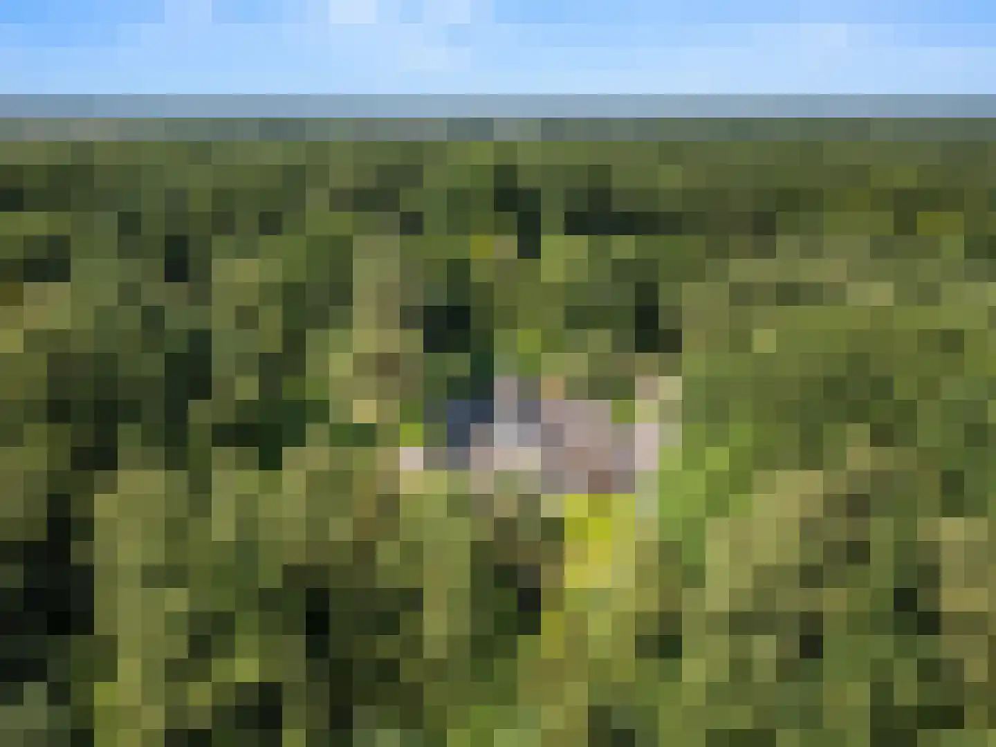 Goorsteeg 90 Ede thumbnail 6