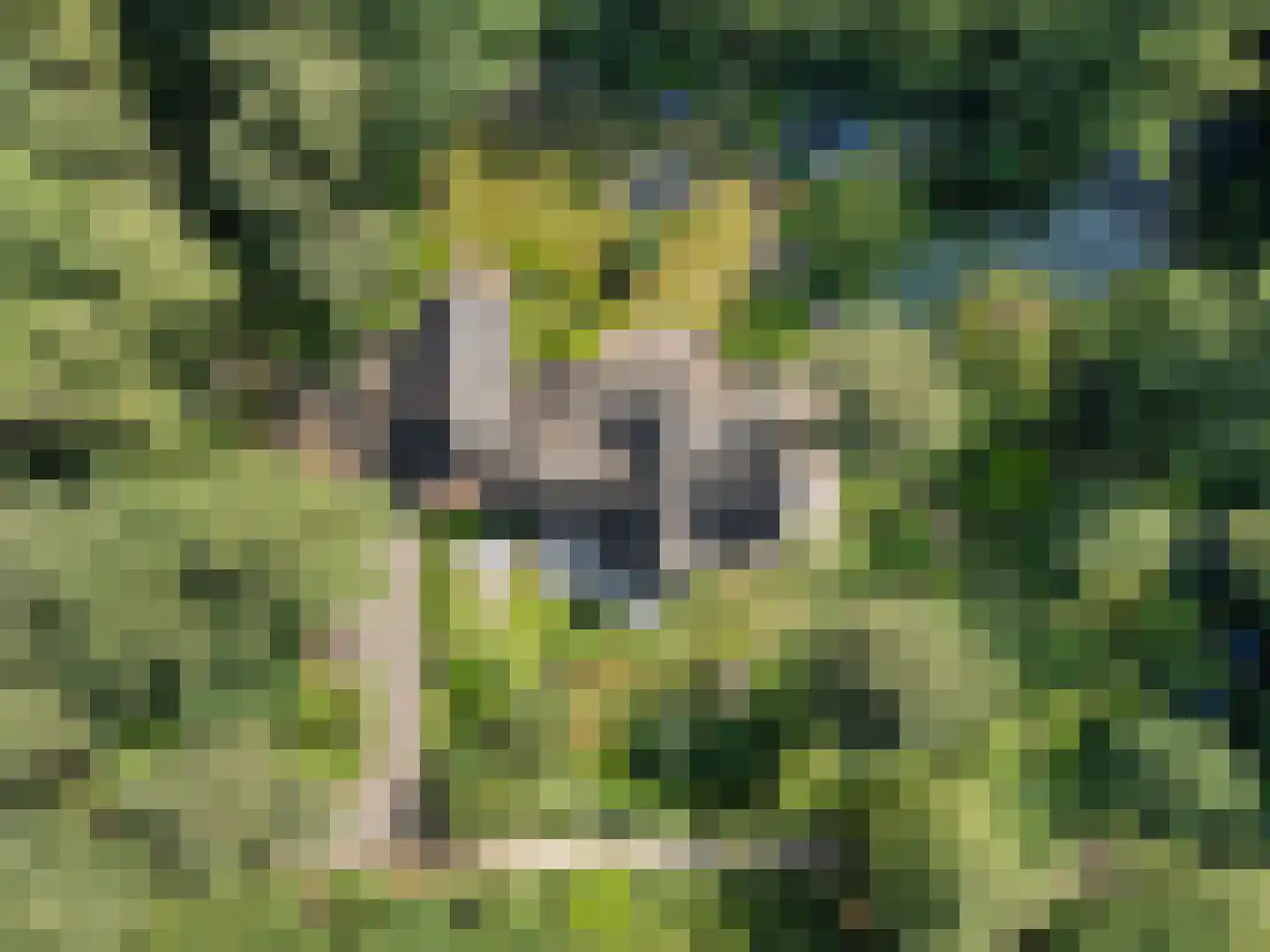 Goorsteeg 90 Ede thumbnail 71