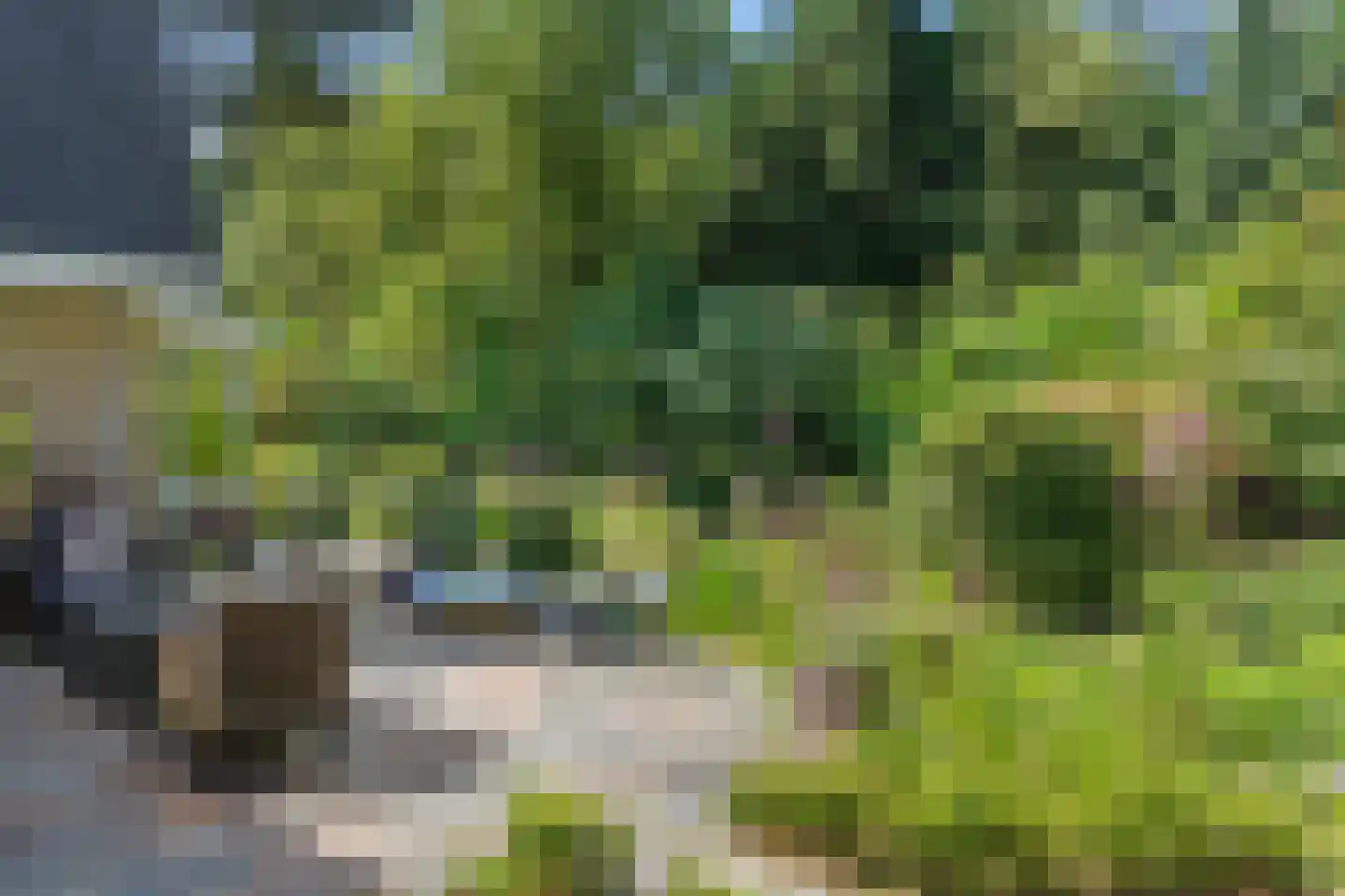 Goorsteeg 90 Ede thumbnail 72