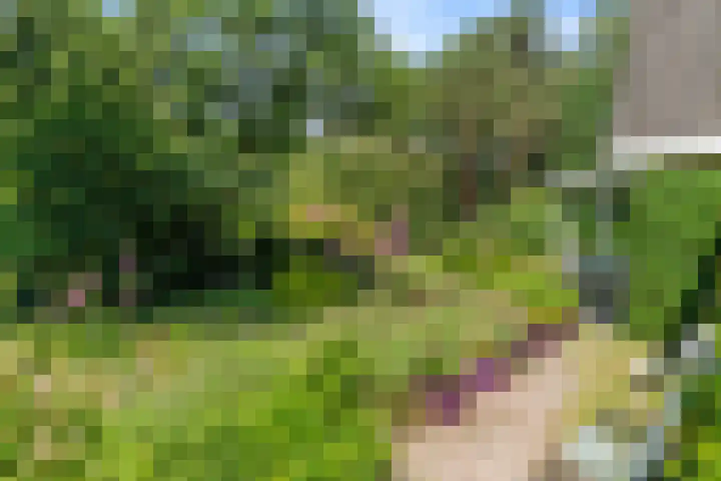 Goorsteeg 90 Ede thumbnail 74