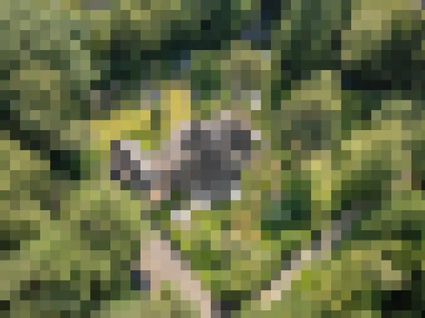 Goorsteeg 90 Ede thumbnail 8