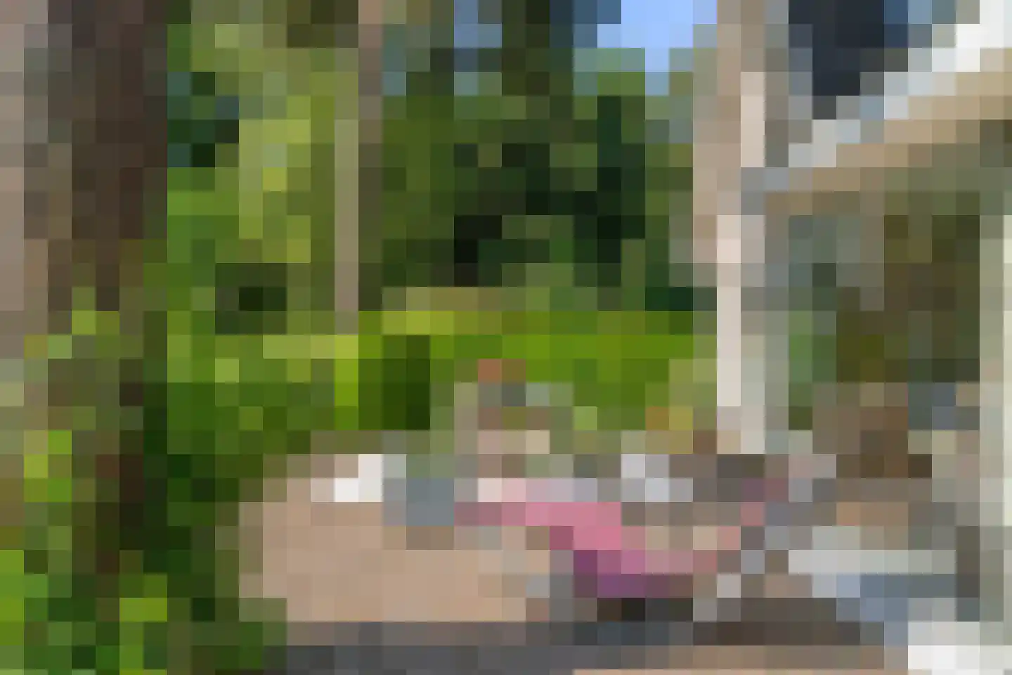 Goorsteeg 90 Ede thumbnail 84
