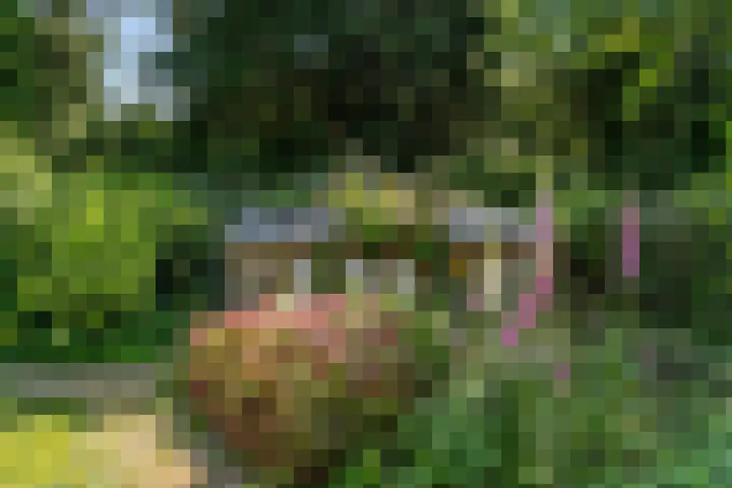 Goorsteeg 90 Ede thumbnail 85