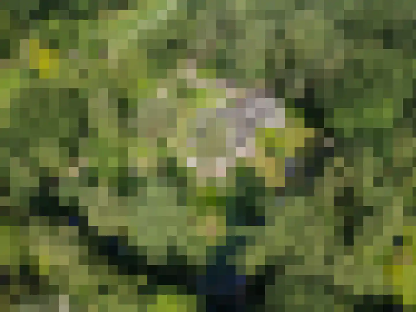 Goorsteeg 90 Ede thumbnail 86