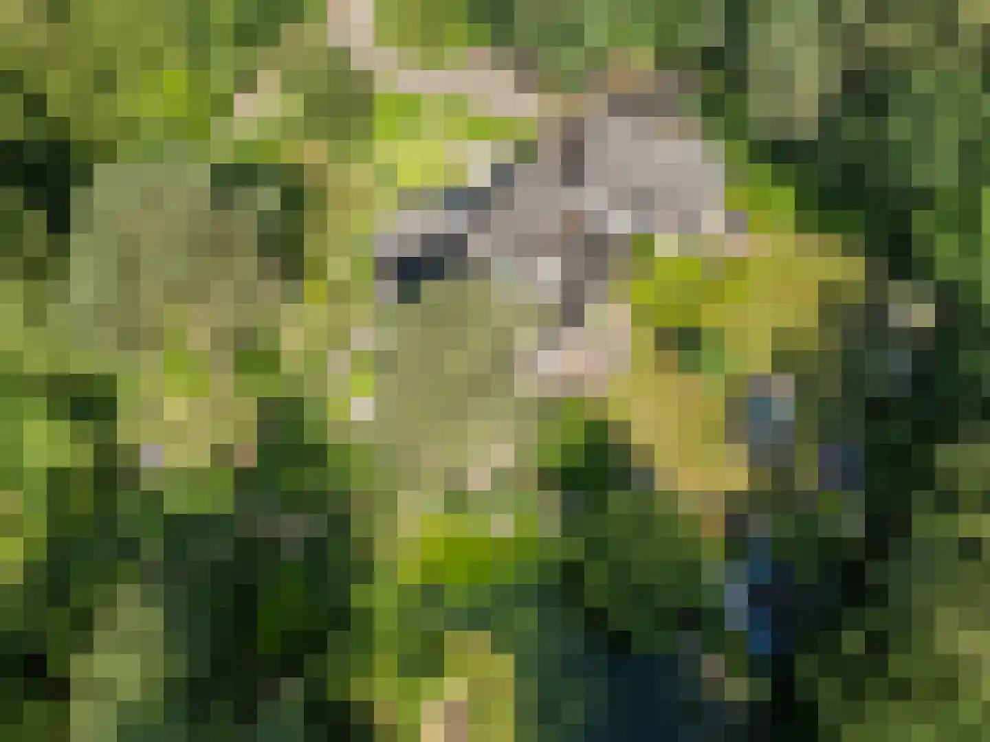 Goorsteeg 90 Ede thumbnail 88