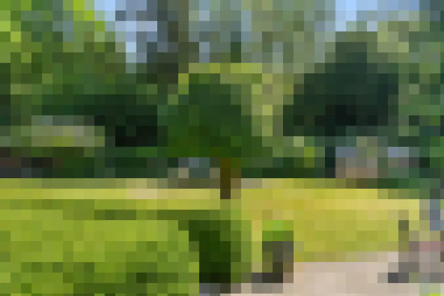 Goorsteeg 90 Ede thumbnail 89