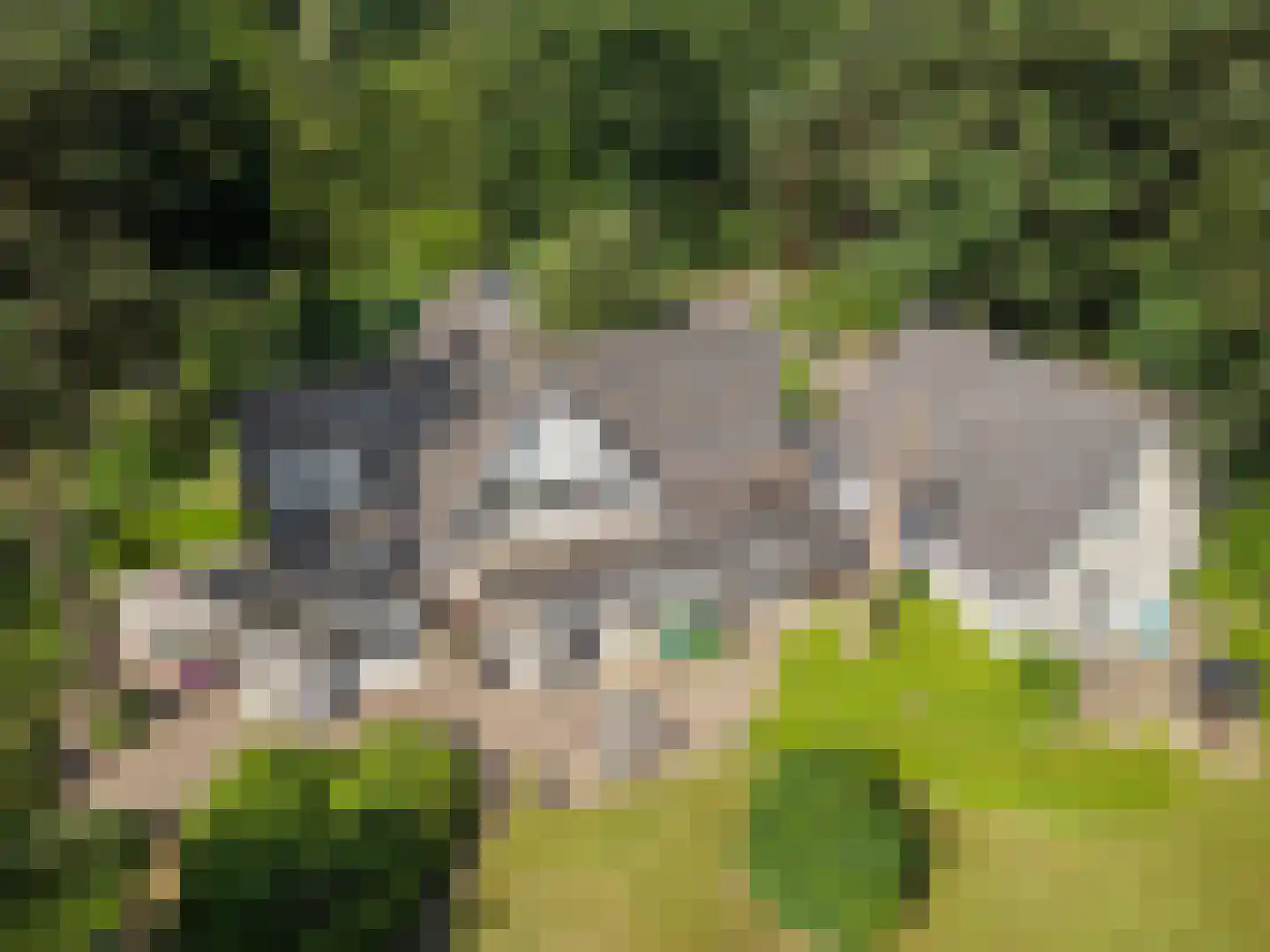 Goorsteeg 90 Ede thumbnail 9