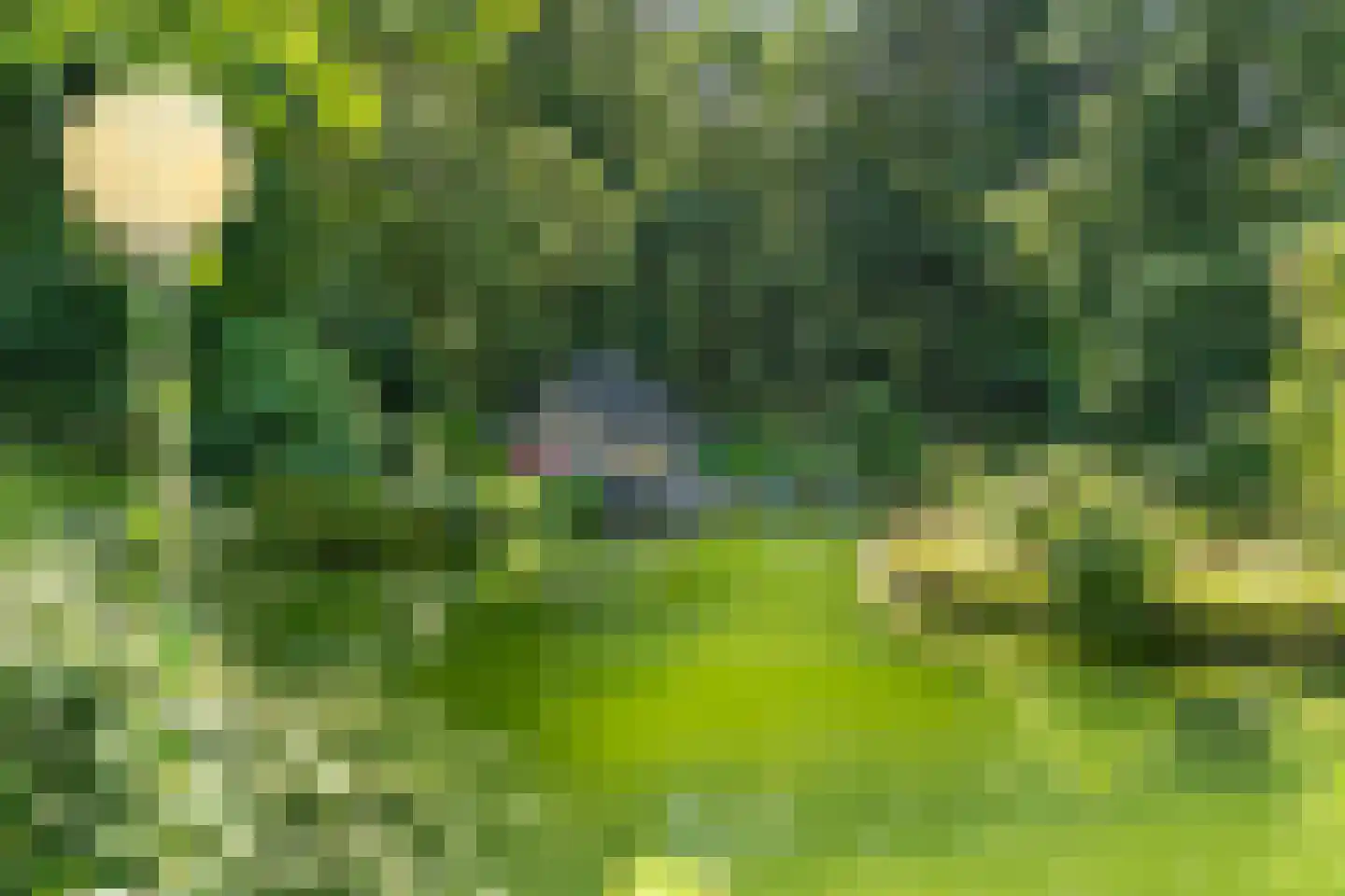 Goorsteeg 90 Ede thumbnail 91