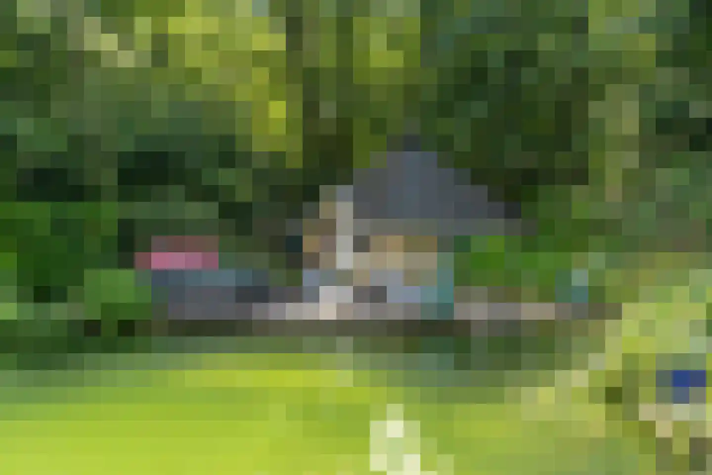 Goorsteeg 90 Ede thumbnail 93