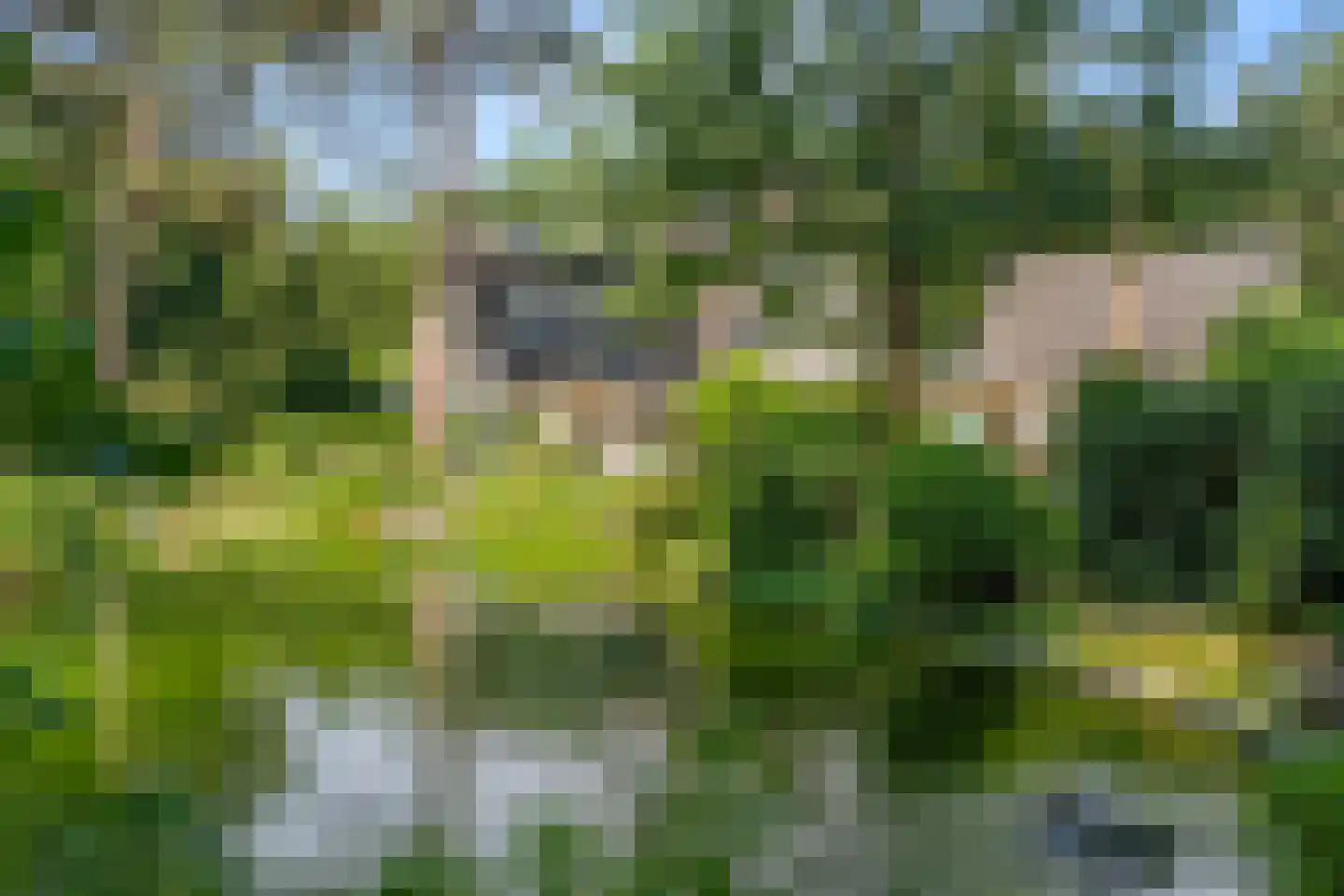 Goorsteeg 90 Ede thumbnail 96