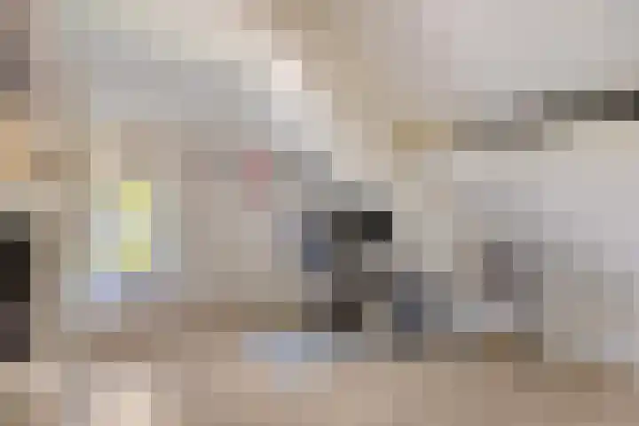 Goorstraat 15 Heesch thumbnail 19