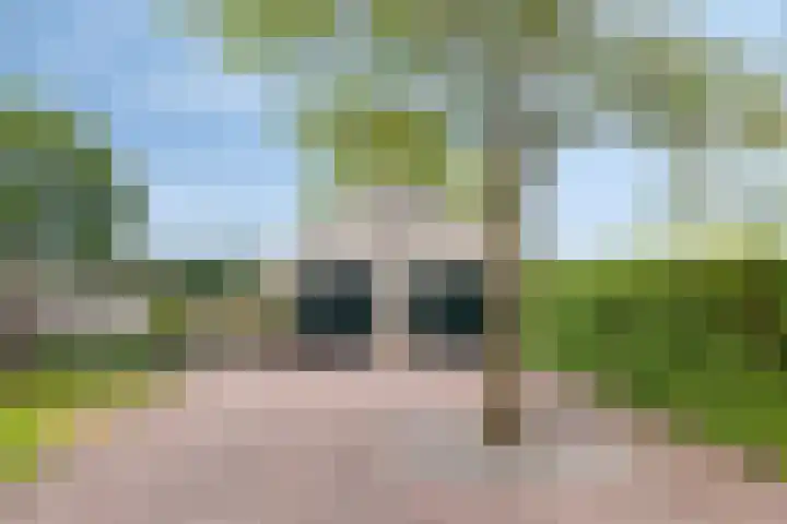 Goorstraat 15 Heesch thumbnail 20