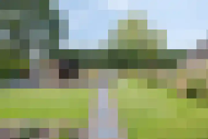 Goorstraat 15 Heesch thumbnail 24