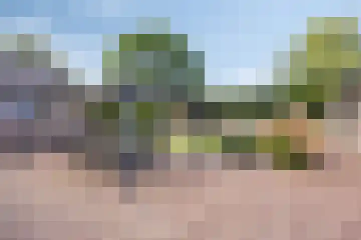 Goorstraat 15 Heesch thumbnail 28