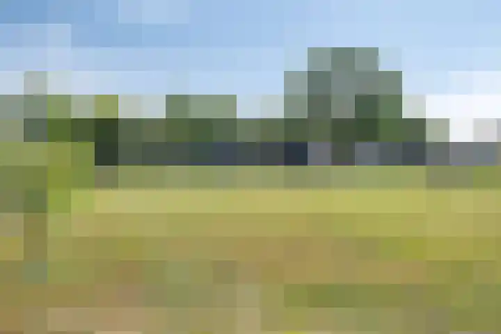 Goorstraat 15 Heesch thumbnail 29
