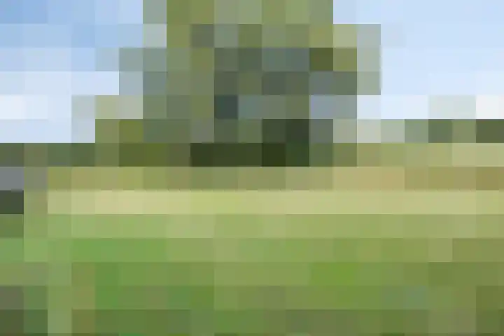 Goorstraat 15 Heesch thumbnail 30