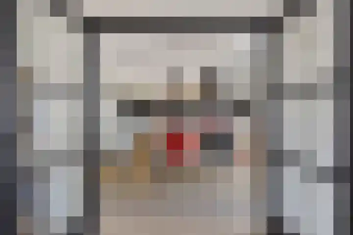 Goorstraat 15 Heesch thumbnail 8