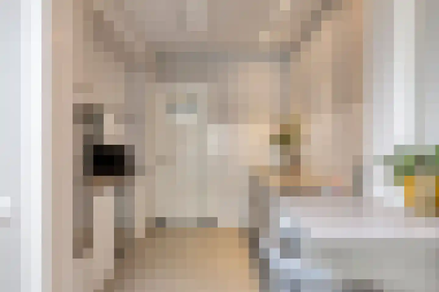 Goorstraat 3 Eindhoven thumbnail 26
