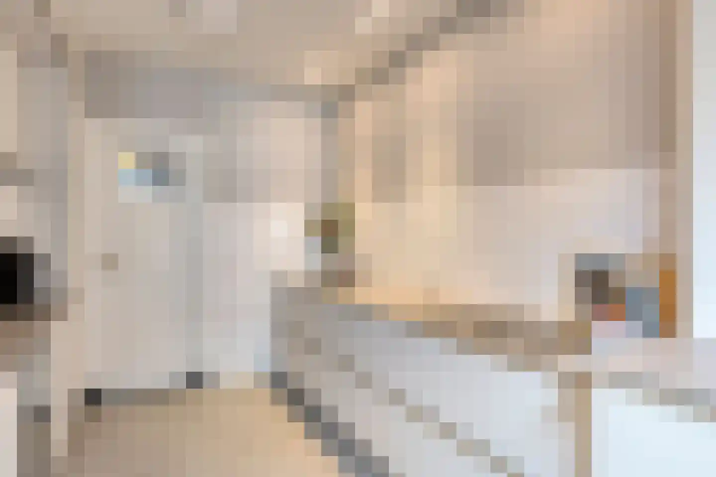 Goorstraat 3 Eindhoven thumbnail 27
