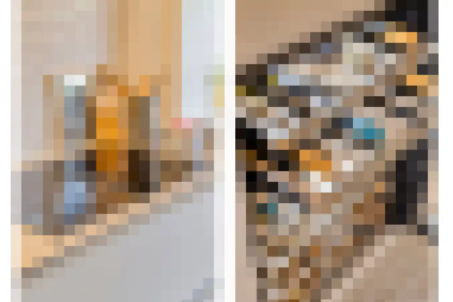 Goorstraat 3 Eindhoven thumbnail 29
