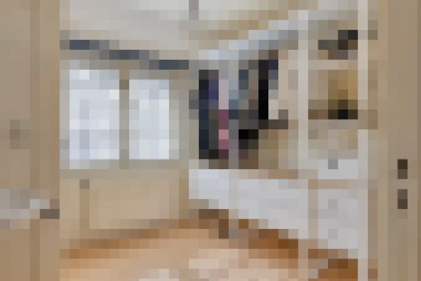 Goorstraat 3 Eindhoven thumbnail 37