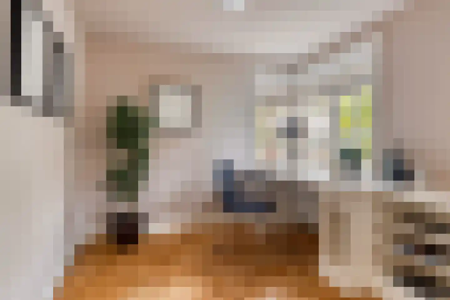 Goorstraat 4 Eindhoven thumbnail 10
