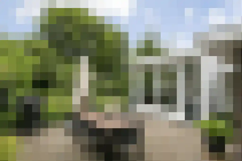 Goorstraat 4 Eindhoven thumbnail 39