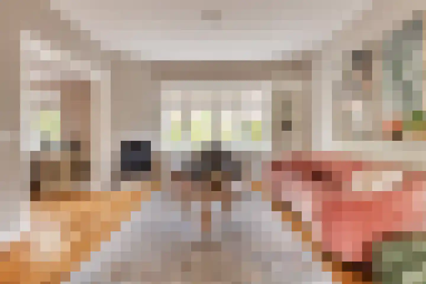 Goorstraat 4 Eindhoven thumbnail 8