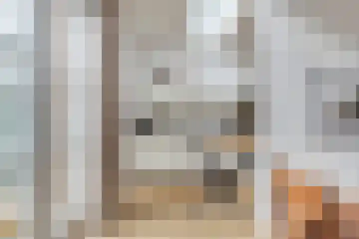 Goorstraat 6 Eindhoven thumbnail 11