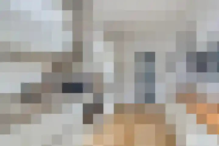 Goorstraat 6 Eindhoven thumbnail 16