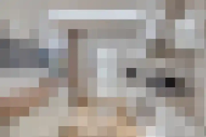 Goorstraat 6 Eindhoven thumbnail 17