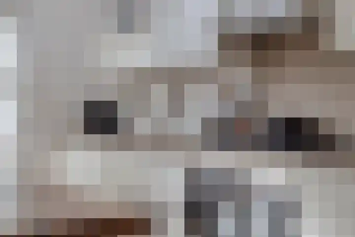 Goorstraat 6 Eindhoven thumbnail 18