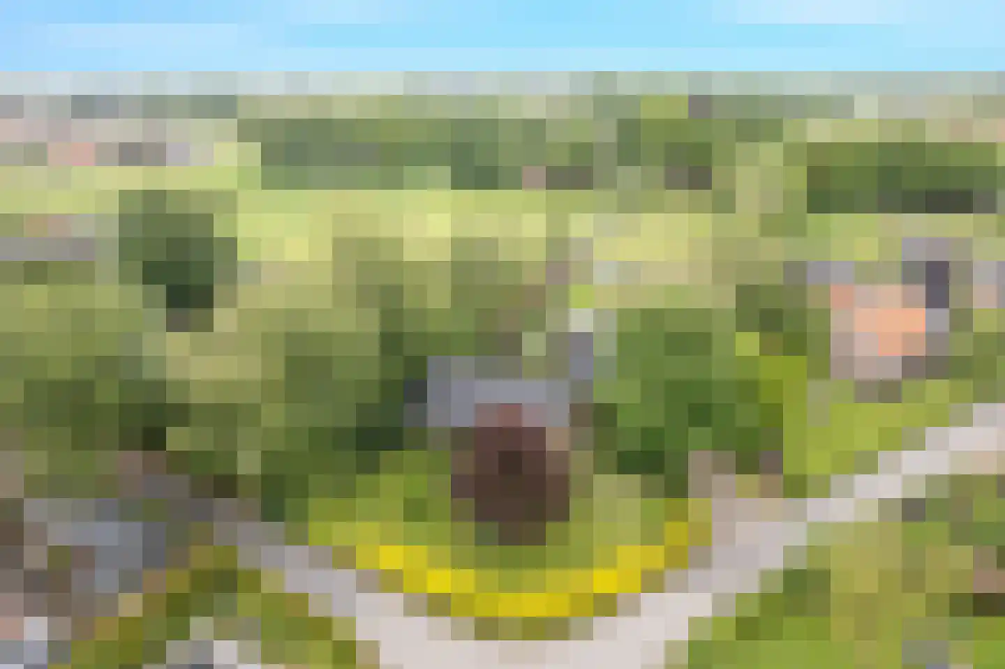Goorweg 28 Doornspijk thumbnail 10