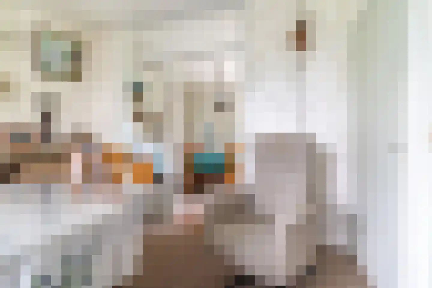 Goorweg 28 Doornspijk thumbnail 13