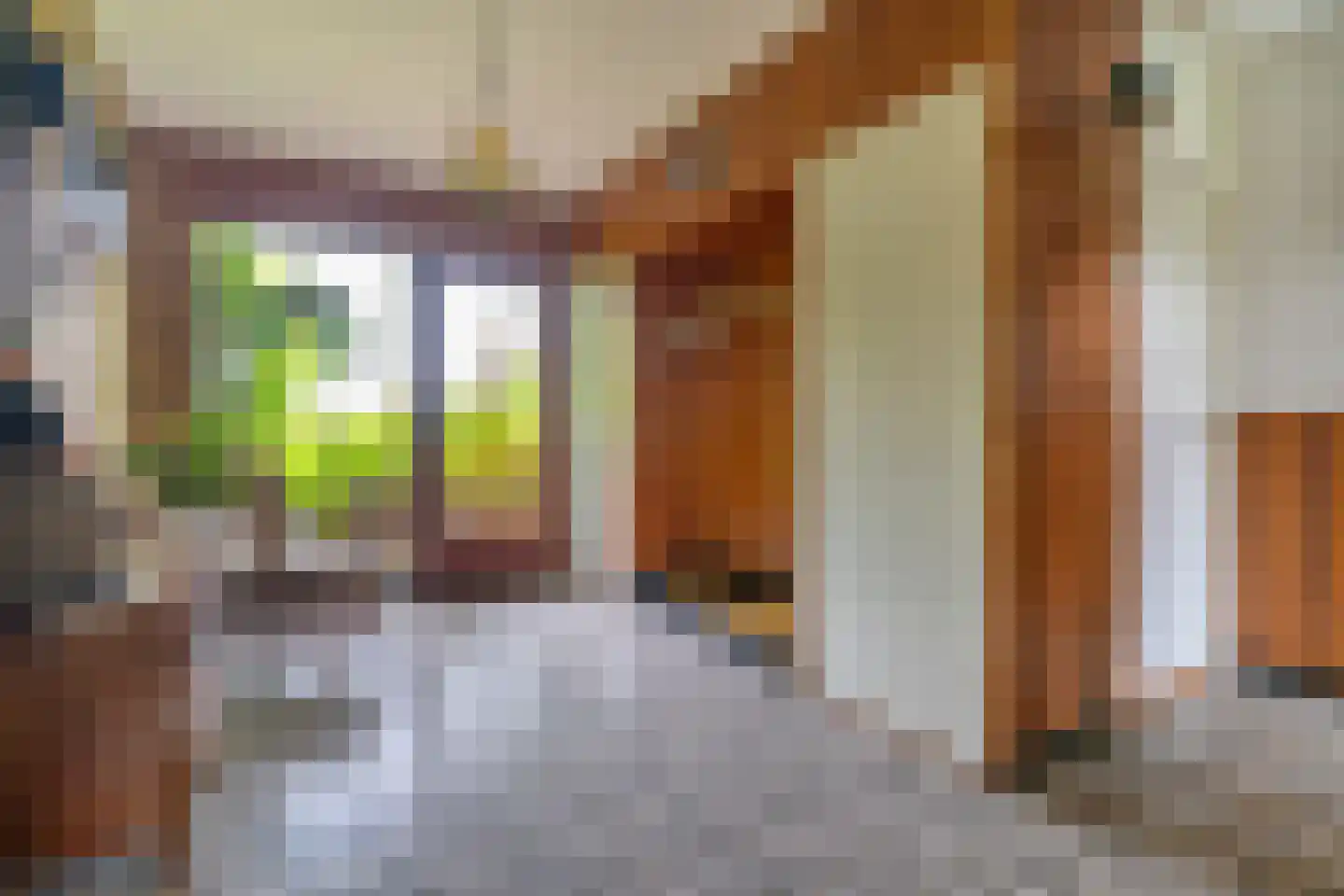 Goorweg 28 Doornspijk thumbnail 24