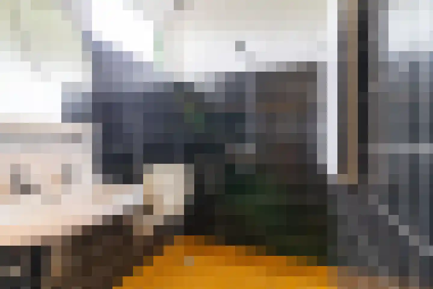Goorweg 28 Doornspijk thumbnail 28
