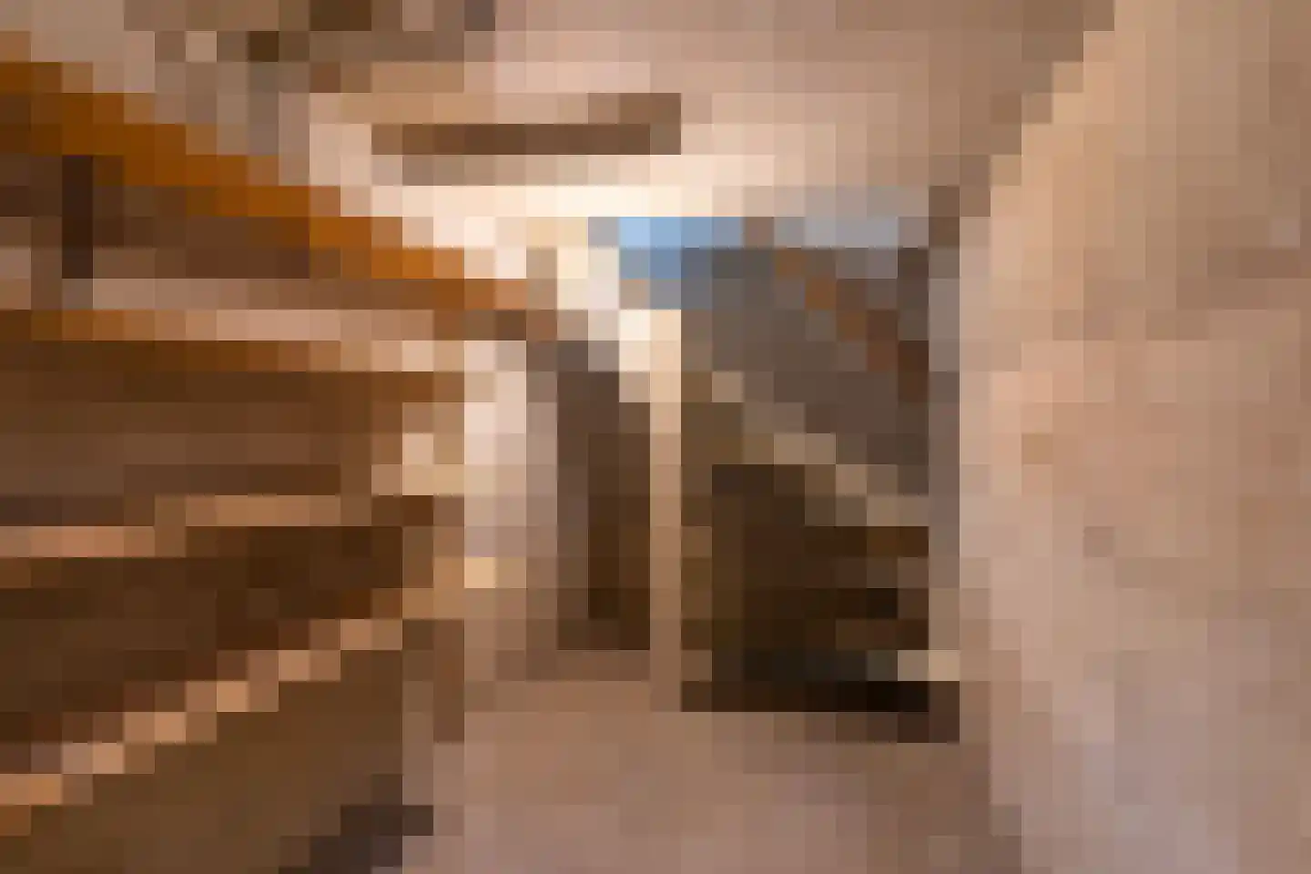 Goorweg 28 Doornspijk thumbnail 34