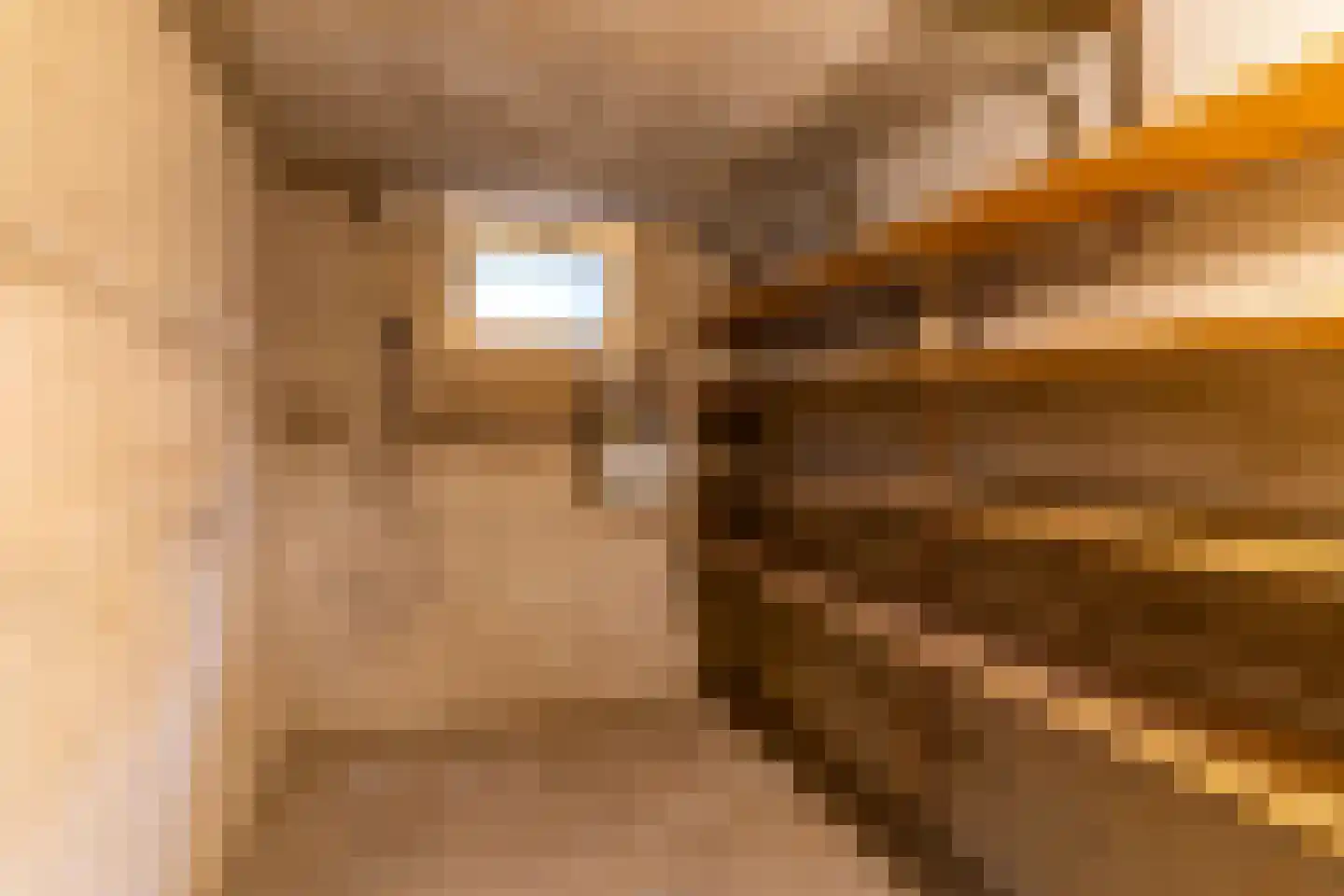 Goorweg 28 Doornspijk thumbnail 35